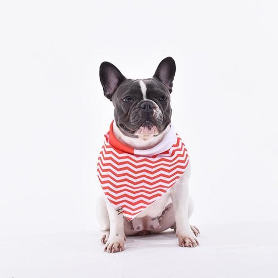 Bandana Internacional Chevron