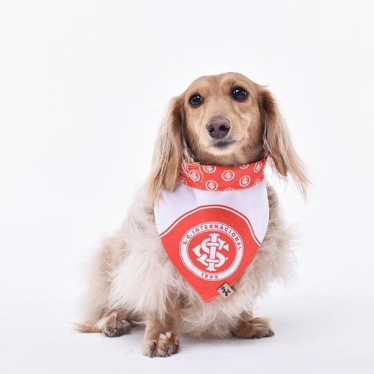 Bandana Internacional Escudos