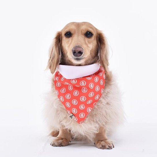Bandana Internacional Escudos