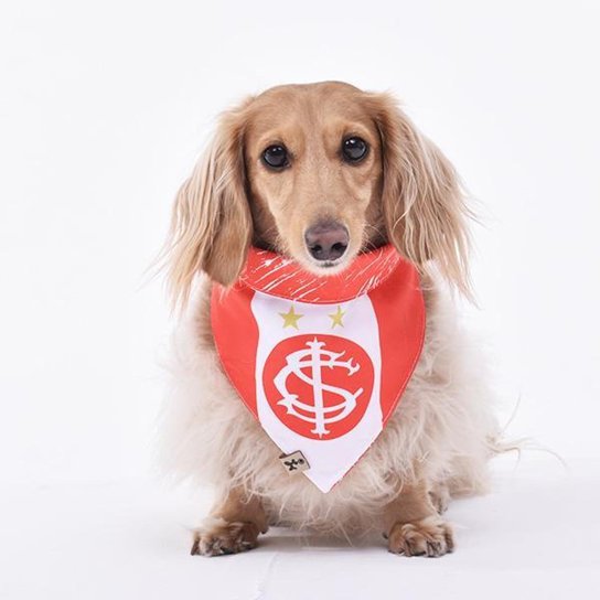 Bandana Internacional Vamos Inter