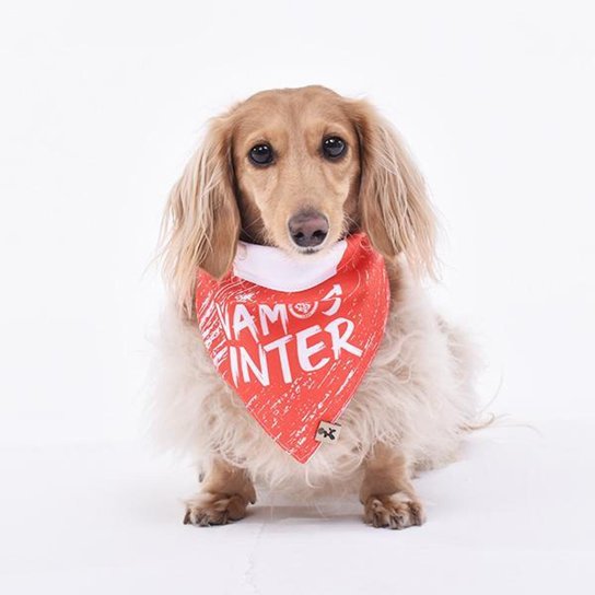 Bandana Internacional Vamos Inter